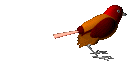 ani3dsparrowc.gif (13865 bytes)